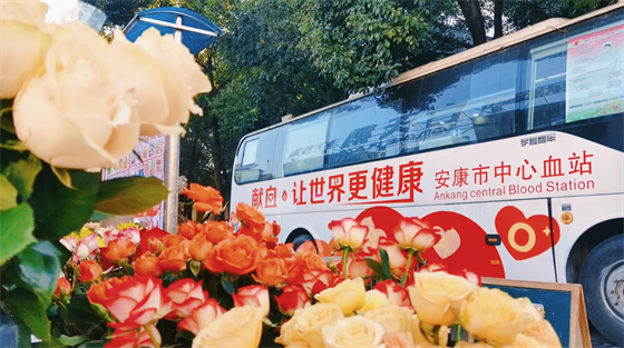 安康這三兄妹，熱血！