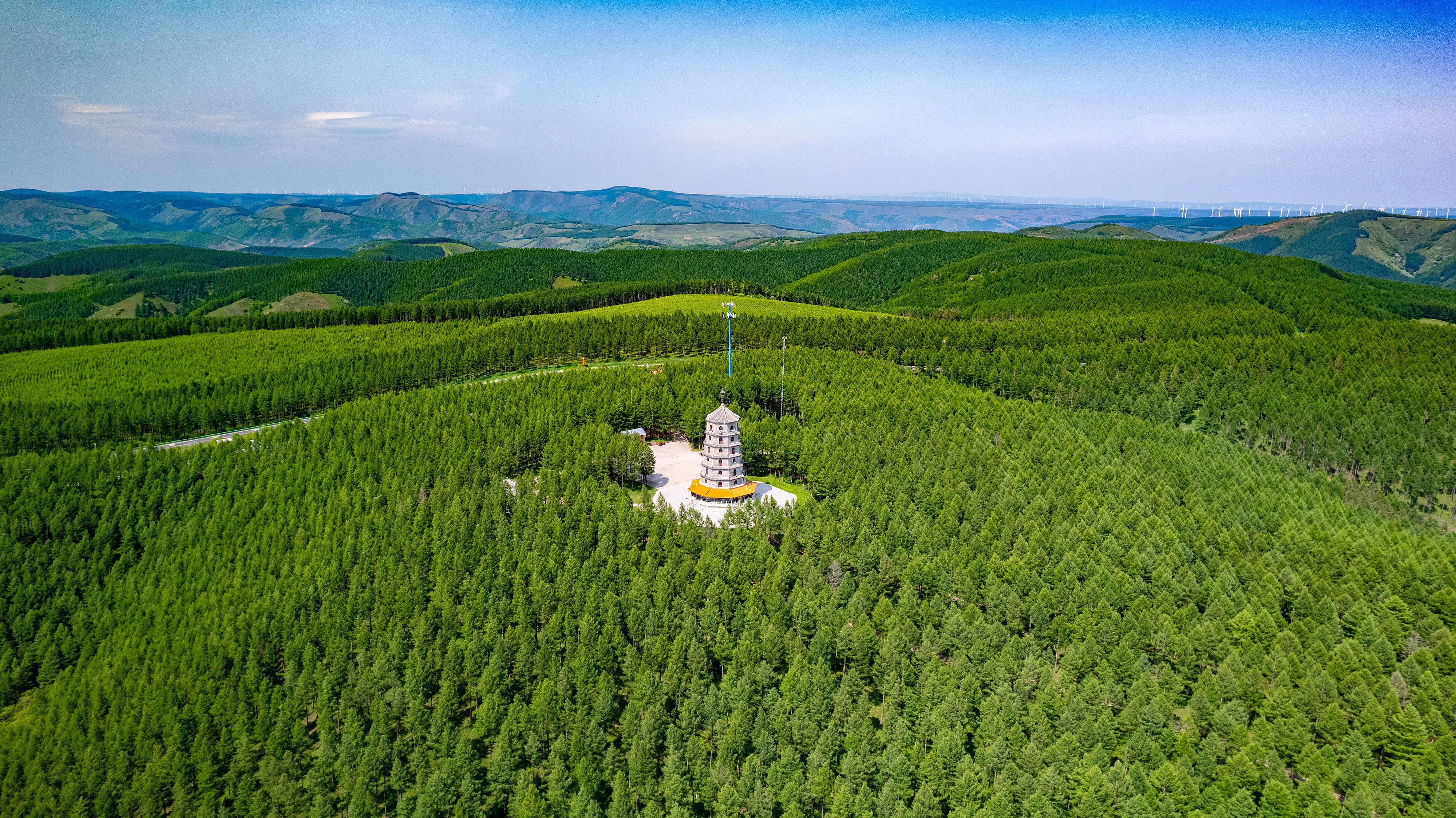 2025年6月11日，河北承德，塞罕壩林海浩渺。